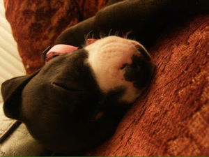 Meet your Posher, Stacey